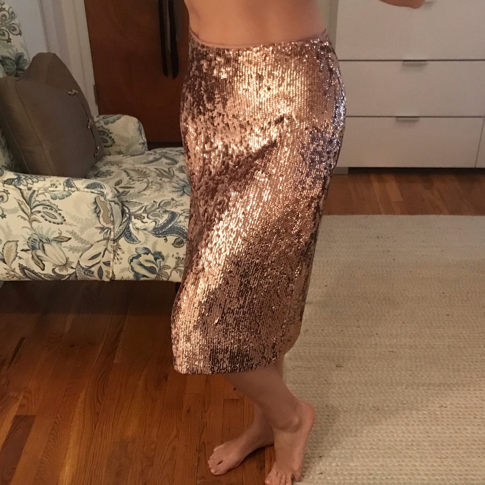 Sequin Skirt from J.Crew